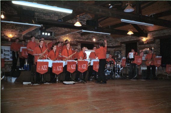 Det Danske Viking Band i Irland