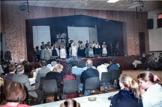 Det Danske Viking Band i Irland